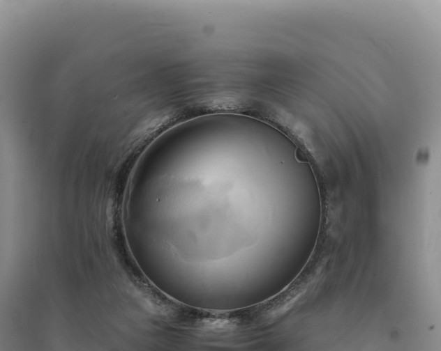 X0000094370161200711091546