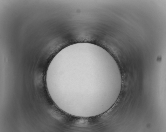 X0000094370162200711091546