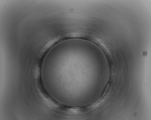 X0000094370164200711091546