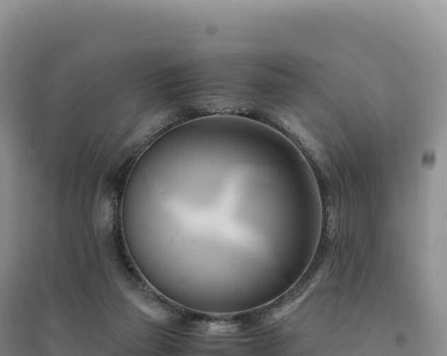 X0000094370165200711091546
