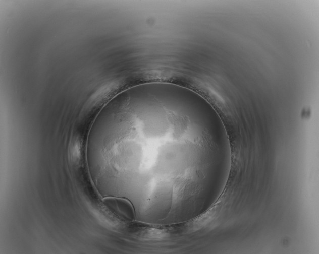 X0000094370166200711091546