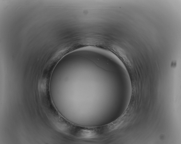 X0000094370167200711091546