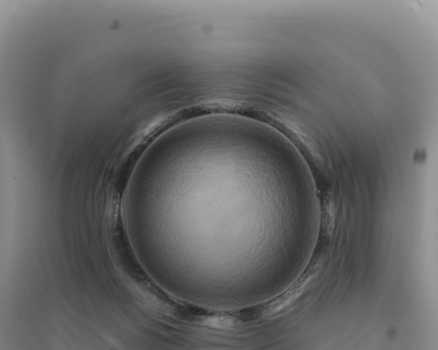 X0000094370168200711091546