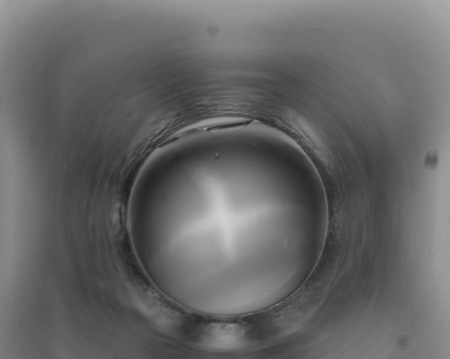 X0000094370169200711091546