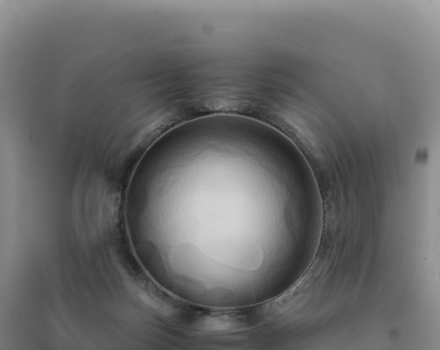 X0000094370171200711091546