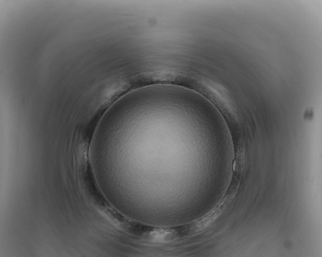 X0000094370172200711091546