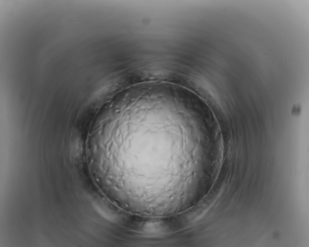 X0000094370173200711091546