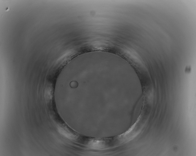 X0000094370174200711091546