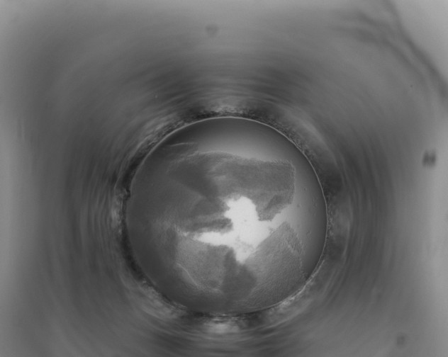 X0000094370175200711091546