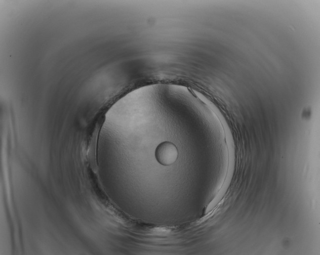 X0000094370176200711091546