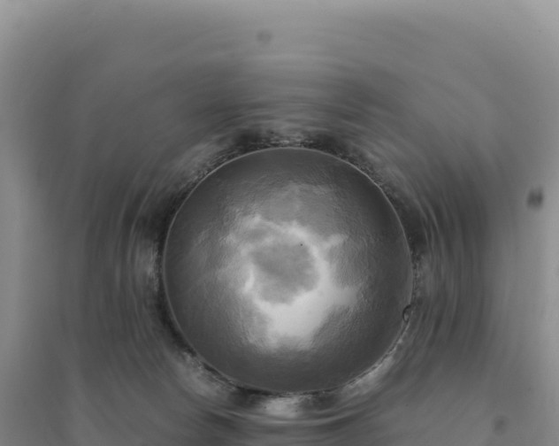 X0000094370178200711091546