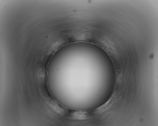 X0000094370179200711091546