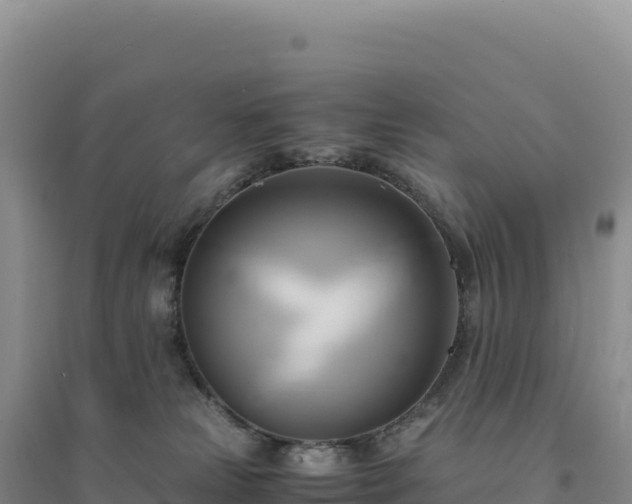 X0000094370181200711091546