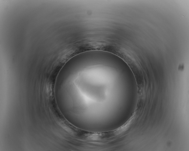 X0000094370182200711091546