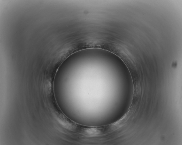X0000094370183200711091546