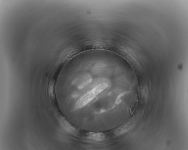 X0000094370185200711091546
