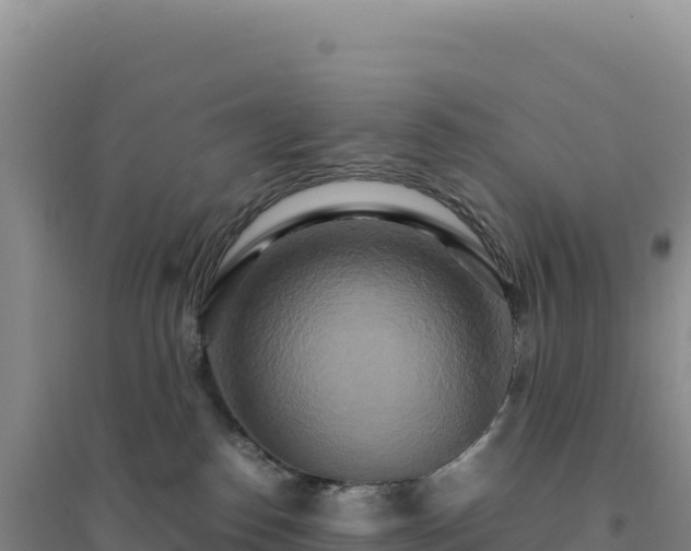 X0000094370186200711091546