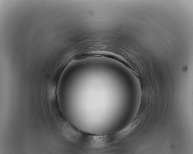 X0000094370188200711091546