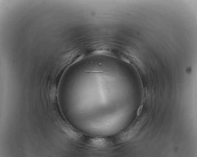 X0000094370189200711091547