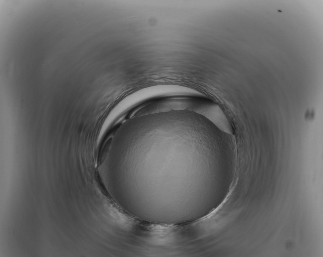 X0000094370192200711091547