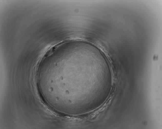 X0000094370193200711091546