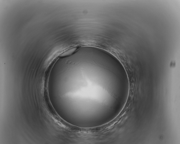 X0000094370194200711091546