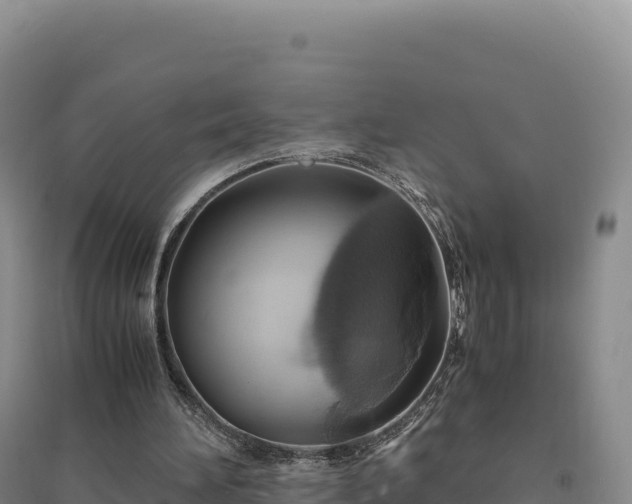 X0000094370196200711091546
