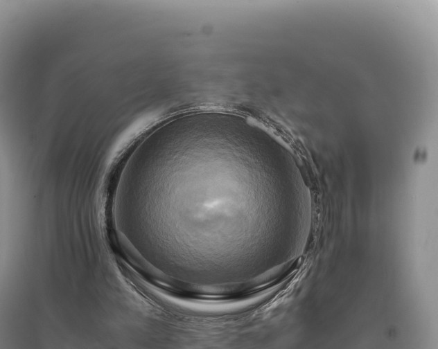 X0000094370197200711091546