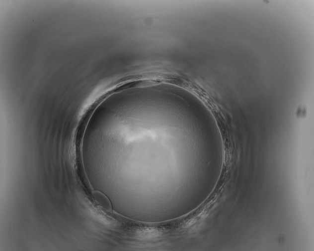 X0000094370198200711091546