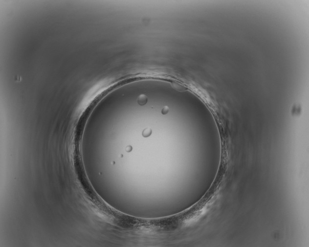 X0000094370199200711091546