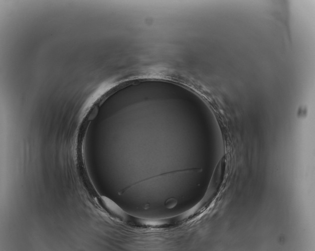 X0000094370200200711091546