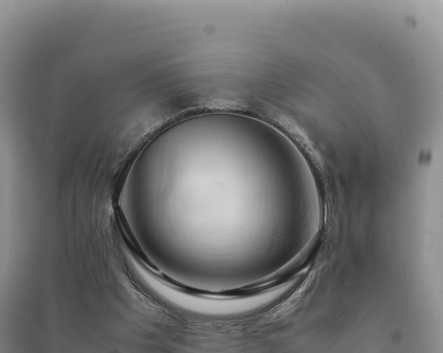 X0000094370201200711091546