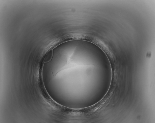 X0000094370202200711091546