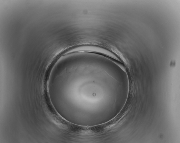 X0000094370203200711091546