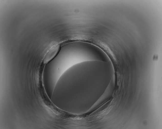X0000094370204200711091546