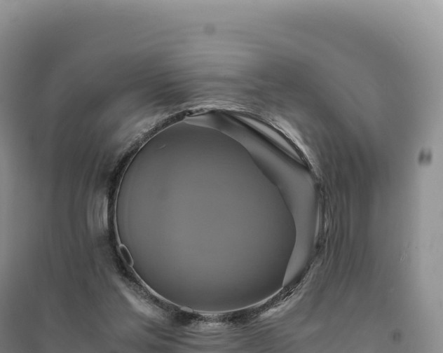 X0000094370205200711091546