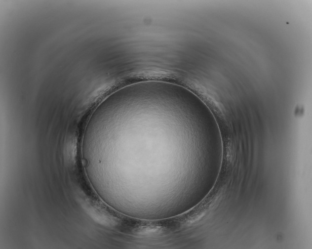 X0000094370206200711091546