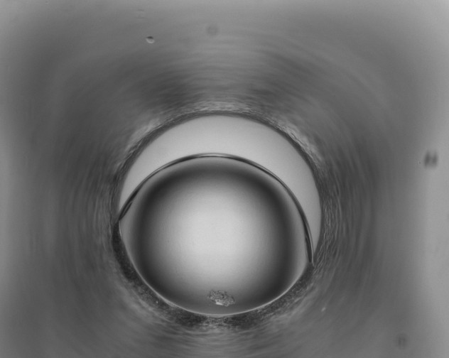 X0000094370207200711091546