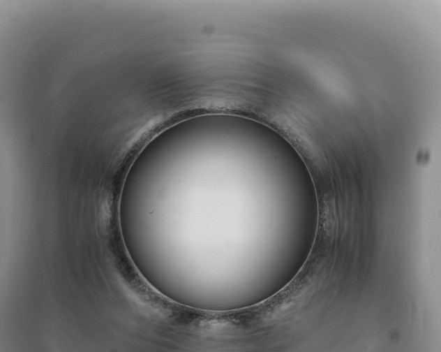 X0000094370208200711091545