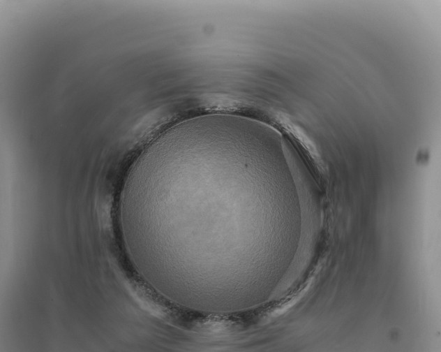 X0000094370209200711091545