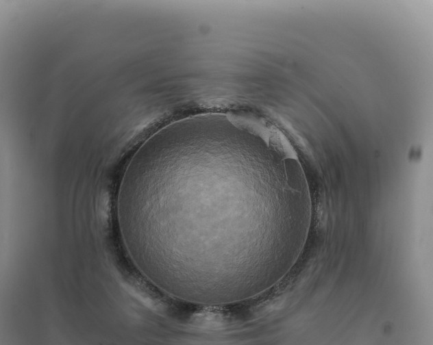 X0000094370211200711091545