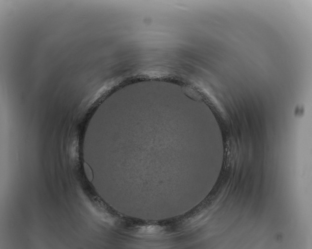 X0000094370212200711091545