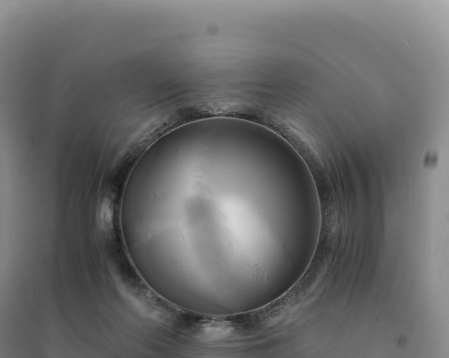 X0000094370214200711091545