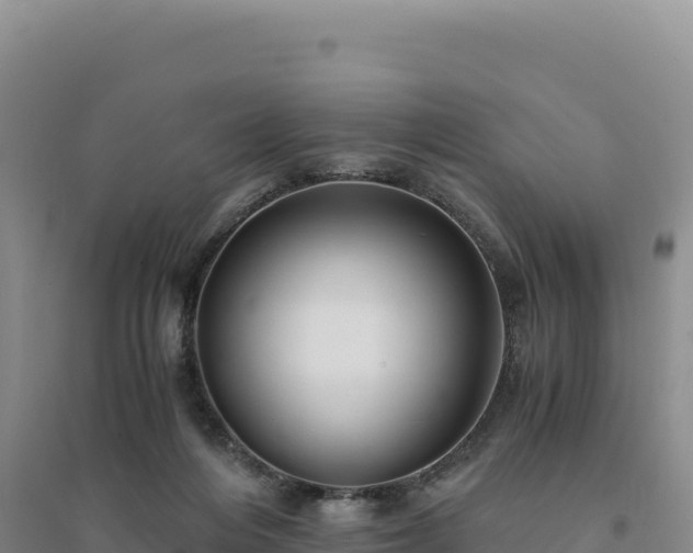 X0000094370216200711091545