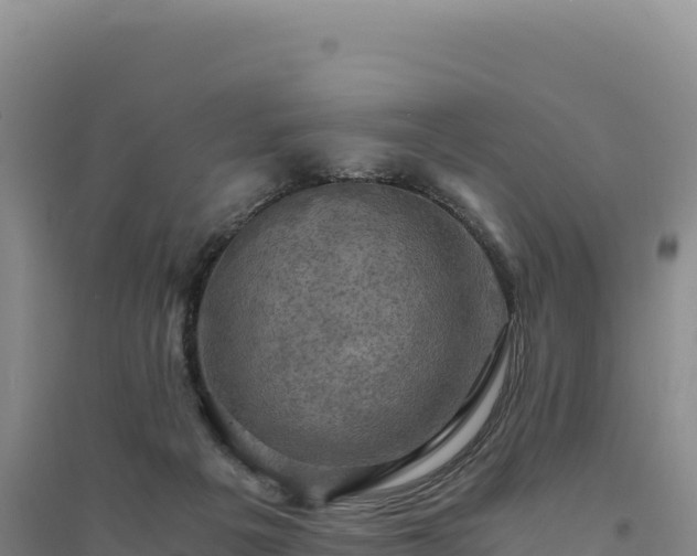 X0000094370217200711091545