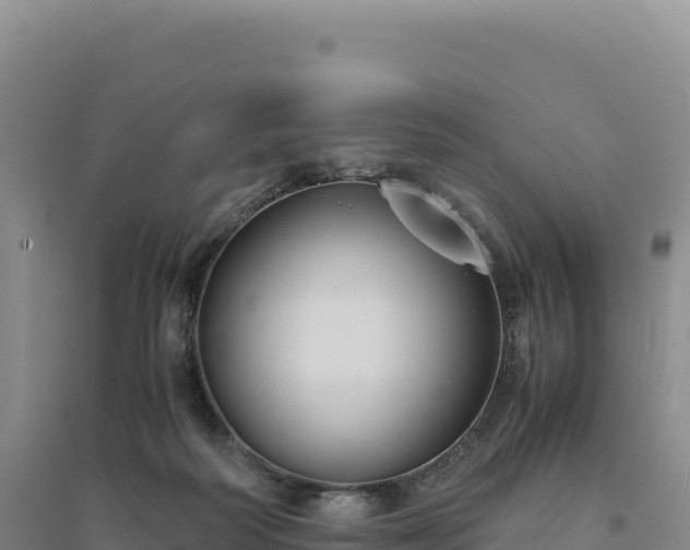 X0000094370218200711091545