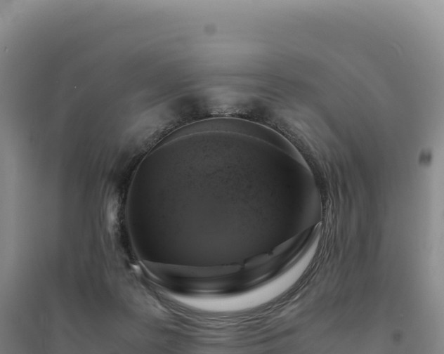 X0000094370219200711091545