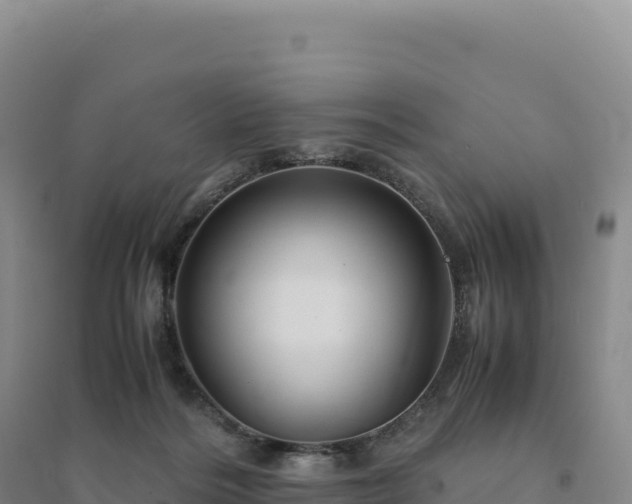 X0000094370220200711091545