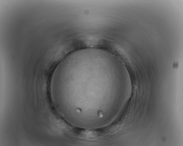 X0000094370221200711091545