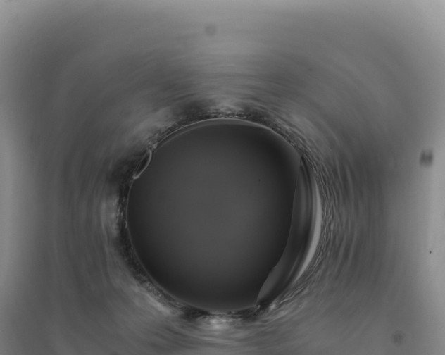 X0000094370223200711091545